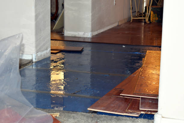 Professional Burst Pipe Cleanup technician working in Richmond Dale, OH
